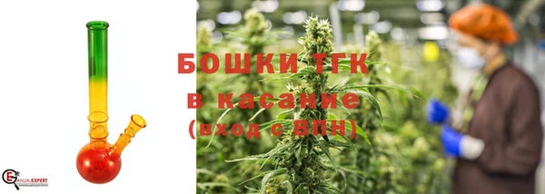 твердый Протвино