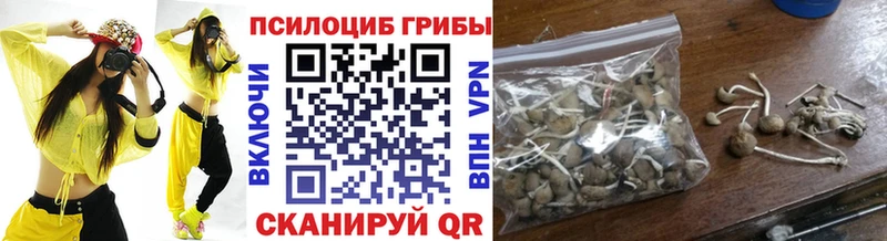 Псилоцибиновые грибы мицелий  MEGA как зайти  Мончегорск 